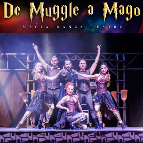 De Muggle a Mago